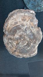 Supermooie tafel van versteend hout uit Madagaskar, Ophalen of Verzenden