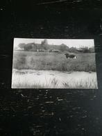 Foto-ansichtkaart "Mooi Zegveld" 1959, Verzamelen, Ansichtkaarten | Nederland, 1940 tot 1960, Gelopen, Utrecht, Ophalen of Verzenden