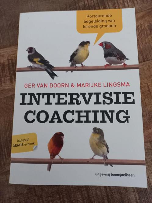 Ger van Doorn - Intervisiecoaching, Boeken, Advies, Hulp en Training, Zo goed als nieuw, Ophalen of Verzenden