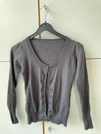 Grijs vest Kocca, 50% merino wol, valt als xs, Ophalen of Verzenden, Zo goed als nieuw, Maat 34 (XS) of kleiner, Grijs