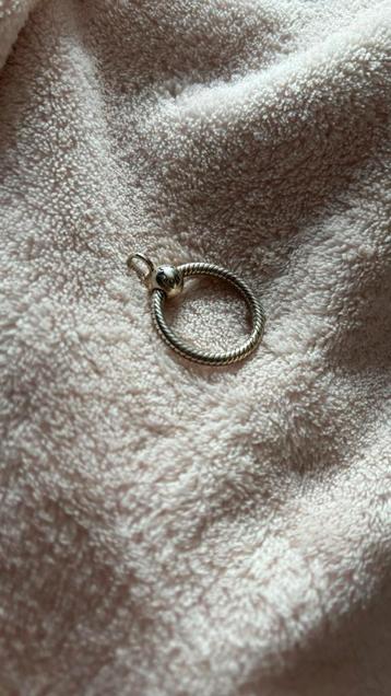 Pandora Moments Hanger Klein beschikbaar voor biedingen
