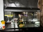 Aquarium, Dieren en Toebehoren, Ophalen, Zo goed als nieuw, Terrarium of Paludarium