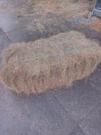 Te koop hooibaaltjes., Dieren en Toebehoren, Dierenvoeding, Ophalen, Vee