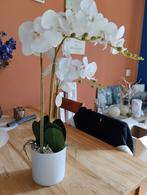 Kunst orchidee 60cm hoog, Ophalen of Verzenden