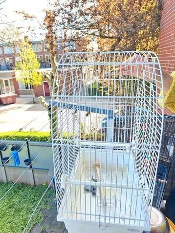 Vogelkooi beschikbaar voor biedingen