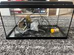 Aqualantis aquarium, Dieren en Toebehoren, Ophalen of Verzenden, Gebruikt, Leeg aquarium
