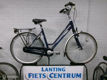 Stella VICENZA   52   CM. beschikbaar voor biedingen