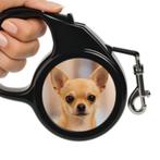 Gepersonaliseerde hondenriem, Dieren en Toebehoren, Hondenriemen, Verzenden, Nieuw, Hondenriem