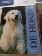 De hond,het paard, Boeken, Prentenboeken en Plaatjesalbums, Nieuw, Prentenboek, Ophalen of Verzenden