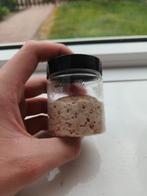 Zuurdesem Starter, Verzenden