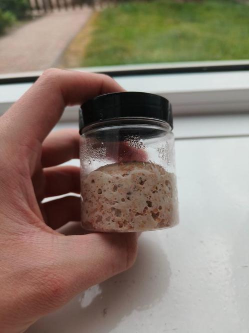 Zuurdesem Starter, Diversen, Levensmiddelen, Verzenden