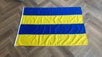 Vlag Leeuwarden, Ophalen of Verzenden, Zo goed als nieuw