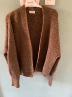 American Vintage vest, Kleding | Dames, Maat 38/40 (M), Studio Anneloes, Bruin, Ophalen of Verzenden