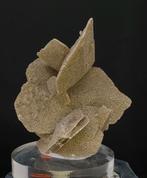 Woestijnroos, mexico., Verzamelen, Mineralen en Fossielen, Ophalen of Verzenden, Mineraal