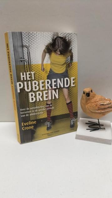 Crone, Eveline; Het puberende brein beschikbaar voor biedingen