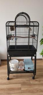 Mooie Papegaai/Vogel kooi te koop aangeboden, Dieren en Toebehoren, Ophalen of Verzenden, Zo goed als nieuw, Metaal, Vogelkooi