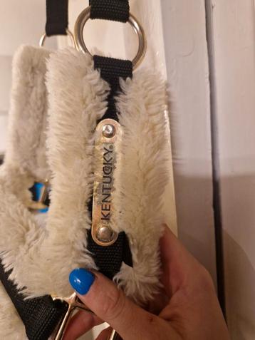 Kentucky halster maat cop beschikbaar voor biedingen