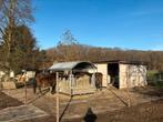 Stalling paard 24/7 buiten aangeboden!, Dieren en Toebehoren, Stalling en Weidegang, Weidegang, 2 of 3 paarden of pony's