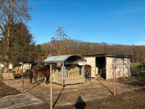 Stalling paard 24/7 buiten aangeboden!, Dieren en Toebehoren, Stalling en Weidegang, Opfok, Stalling, Weidegang, Toebehoren, 2 of 3 paarden of pony's