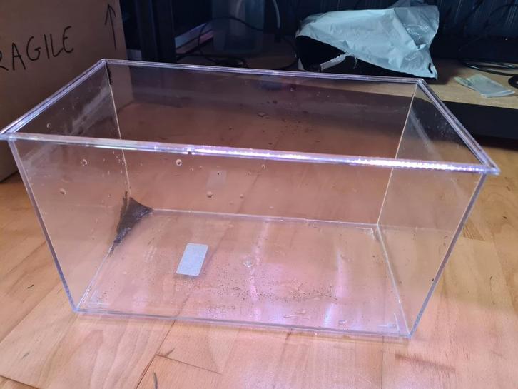 Te koop!
3 x helder kunststof /plastic kweekbakken aquarium, Dieren en Toebehoren, Reptielen en Amfibieën | Toebehoren, Zo goed als nieuw