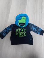 Trui 74, Kinderen en Baby's, Babykleding | Maat 74, Ophalen of Verzenden, Zo goed als nieuw