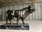 Stier op marmeren sokkel, Antiek en Kunst, Ophalen