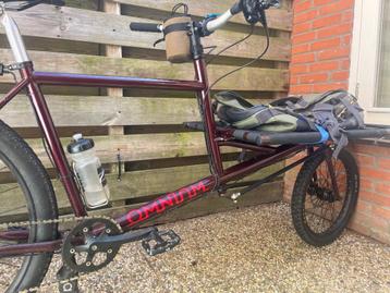 Omnium Cargo V3 beschikbaar voor biedingen