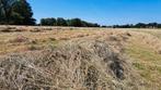 Midibalen hooi paardenhooi lang spul onbemest, Dieren en Toebehoren, Dierenvoeding, Ophalen, Vee