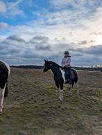 Buitenrit paardrijden bosrit