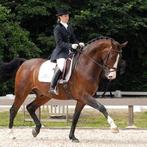 Orun instructrice B/Z  springen/dressuur, Diensten en Vakmensen, Dieren | Paarden | Verzorging, Oppas en Les