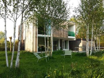 Fermob Luxembourg low arm-chair beschikbaar voor biedingen