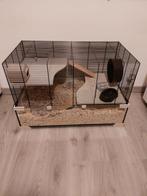 Hamster en Hamsterkooi Ferplast Karat 80, Kooi, Zo goed als nieuw, Hamster, 75 tot 110 cm
