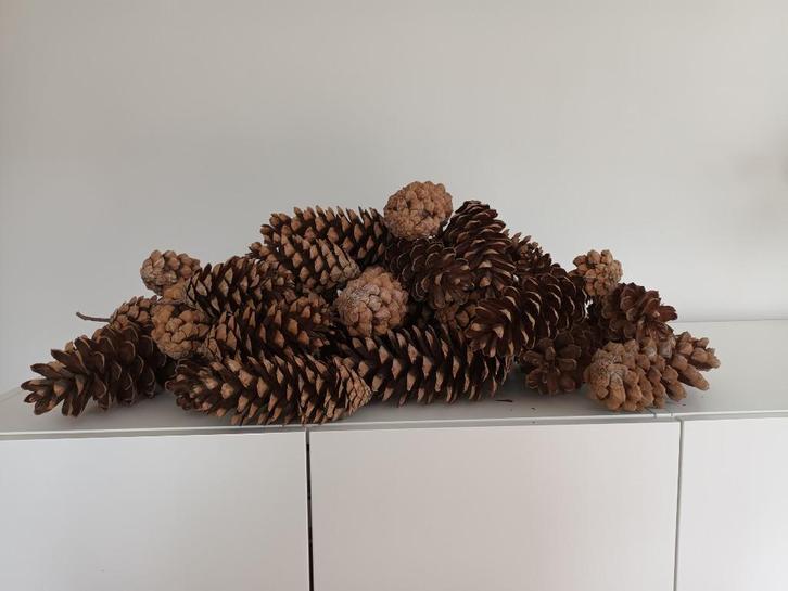 Prachtige grote dennenappels voor decoratie of hobby 47stuks, Hobby en Vrije tijd, Knutselen, Zo goed als nieuw, Materiaal, Verzenden