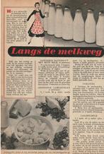 Vintage knipsel 1952 Beatrijs over melk recepten zuivel, Verzenden, 1940 tot 1960, Nederland, Knipsel(s)