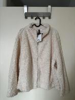 Nieuw teddyvest H&M offwhite maat L, Kleding | Dames, Maat 38/40 (M), Overige kleuren, Nieuw, Ophalen of Verzenden
