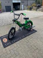 Puch maxi (zonder kenteken), Ophalen, Nieuw, Overige typen