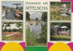 APPELSCHA Brug Heide Haven Midget Golf Camping Groeten, Verzenden, 1980 tot heden, Gelopen, Friesland