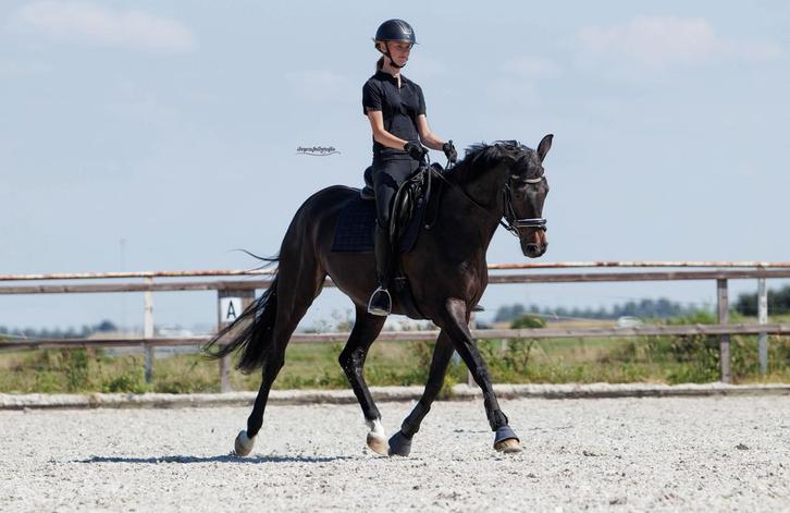 Bijrijder aangeboden Haarlem, Dieren en Toebehoren, Paarden en Pony's | Verzorgingsproducten, Ophalen of Verzenden