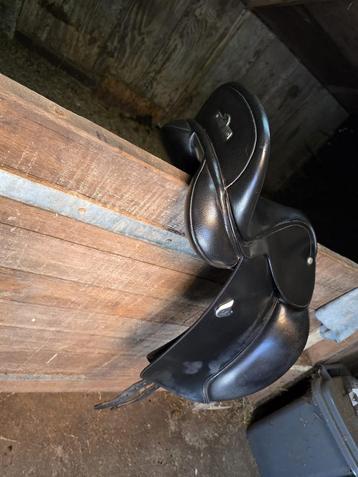 Pony dressuur 15,3” zwart zadel verwiss boom beschikbaar voor biedingen