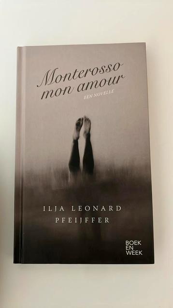 Ilja Leonard Pfeijffer - Monterosso mon amour beschikbaar voor biedingen