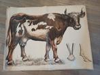 Oude schoolplaat van een koe, Antiek en Kunst, Antiek | Schoolplaten, Ophalen of Verzenden, Natuur en Biologie