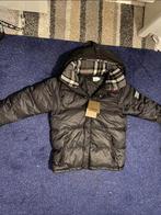 Burberry winterjas in diverse maten (ook op te halen), Ophalen of Verzenden