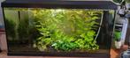 Juwel primo 110 met CO2 installatie, Dieren en Toebehoren, Ophalen, Zo goed als nieuw, Gevuld zoetwateraquarium