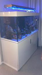 zeeaquarium lamp, Ati Sunpower...., Dieren en Toebehoren, Vissen | Aquaria en Toebehoren, Ophalen, Gebruikt, Verlichting of Verwarming