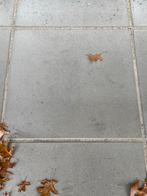 9m2 nieuwe Betontegels 50x50 + Opsluitbanden, Ophalen, Gebruikt, 5 tot 10 m², Beton