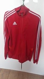 Sportvest Adidas maat 176, Overige maten, Ophalen of Verzenden, Zo goed als nieuw, Adidas