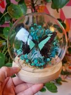 Blauwe Vlinder Stolp - Butterfliesbyfaaijtje, Huis en Inrichting, Ophalen of Verzenden, Nieuw