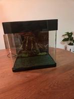 Compleet Aquarium van Superfish, Dieren en Toebehoren, Ophalen, Zo goed als nieuw, Leeg aquarium