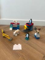 Heel goed: Lego Duplo 5633 Pooldieren Arctic Zoo dierentuin, Duplo, Ophalen of Verzenden, Zo goed als nieuw