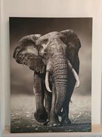 Olifant op canvas 70x50, Huis en Inrichting, Woonaccessoires | Schilderijen, Tekeningen en Foto's, Ophalen, Zo goed als nieuw